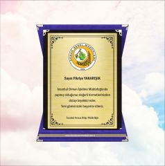 Kadife Kutulu Plaket 4