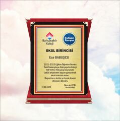Kadife Kutulu Plaket 5