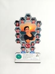 Mezuniyet Plaketi 06