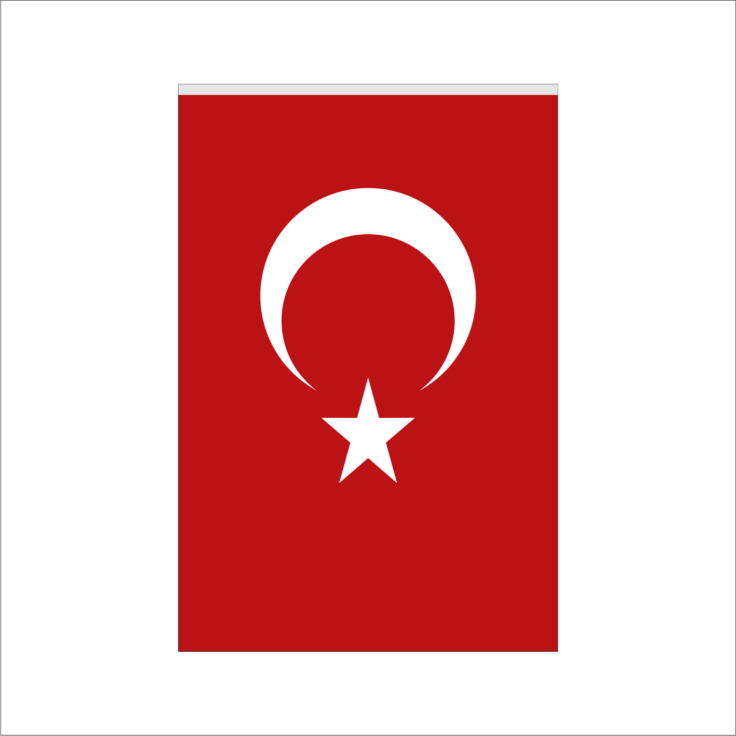 Türk Bayrağı